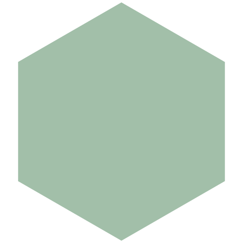 van-vliet-hexagon-green